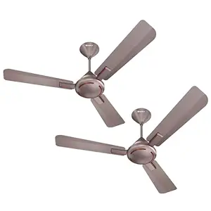 Havells 1200mm Ambrose ES Ceiling Fan | Premium Finish, Decorative Fan, Elegant Looks, High Air Delivery, Energy Saving, 100% Pure Copper Motor | 2 Year Warranty | (Pack of 2, Cola Espresso Brown)