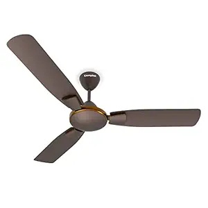 Crompton Highspeed Toro 1200 mm Designer Ceiling Fan | BEE Star Rated Energy Efficient | Anti-Dust | Active Power Technology | Upto 50% Less Heating | 2 Year Manufacturer Warranty | Magic Brown
