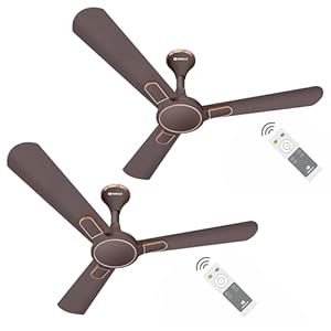 Havells 1200mm Bianca BLDC Motor Ceiling Fan | 5 Star RF Remote, 100% Copper,High Air Delivery,Upto 60% Energy Saving | ECO Active Technology, Flexible Timer Setting | (Pack of 2, Espresso Brown)